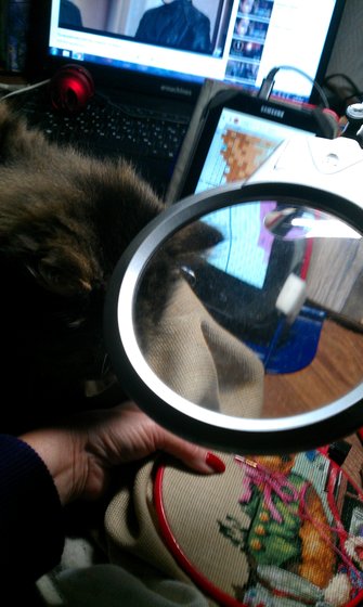 Этап процесса «мишки и пуговицы. дим.»