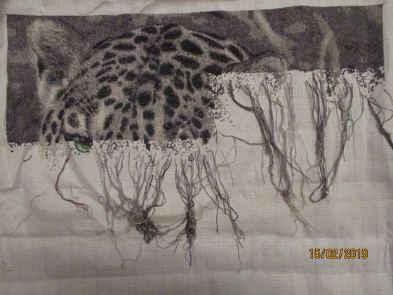 Этап процесса «леопард»