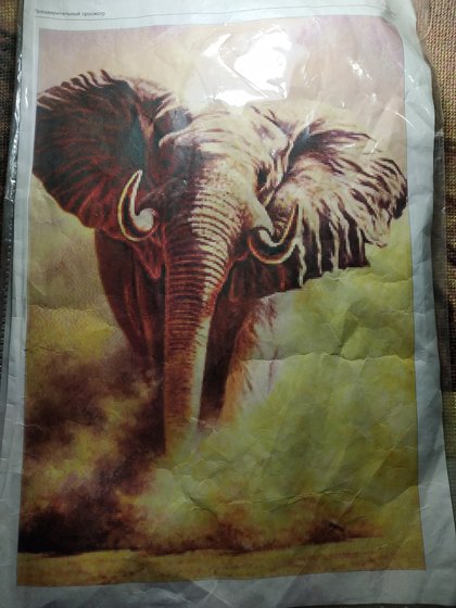 Этап процесса «Африканский слон»