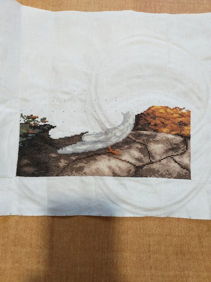 Этап процесса «Голуби»