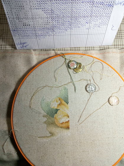 Этап процесса «LucaS»