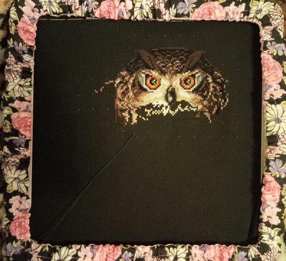 Этап процесса «Сова»