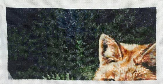 Этап процесса «В ПАПОРОТНИКЕ»