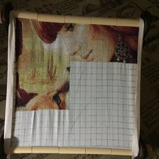 Процесс «Девушка и лисичка»