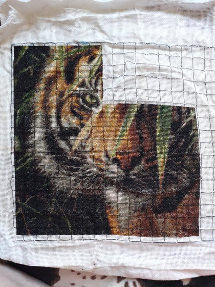 Этап процесса «Ожидающий тигр.»