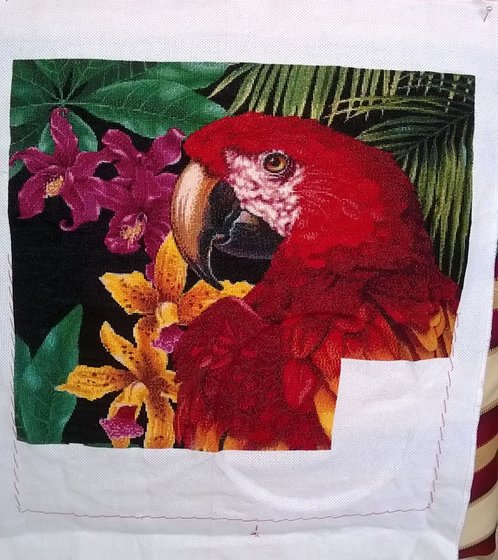 Этап процесса «Попугай Ара»