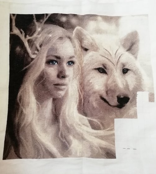 Этап процесса «Волчица»