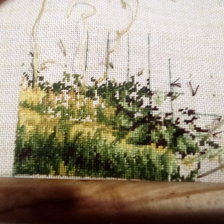 Процесс «дубовая роща Лука-с»