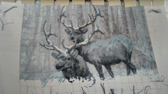 Этап процесса «Олени о"Чаривна мить"»