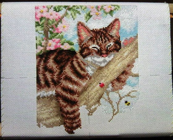 Этап процесса «Спящий котёнок»