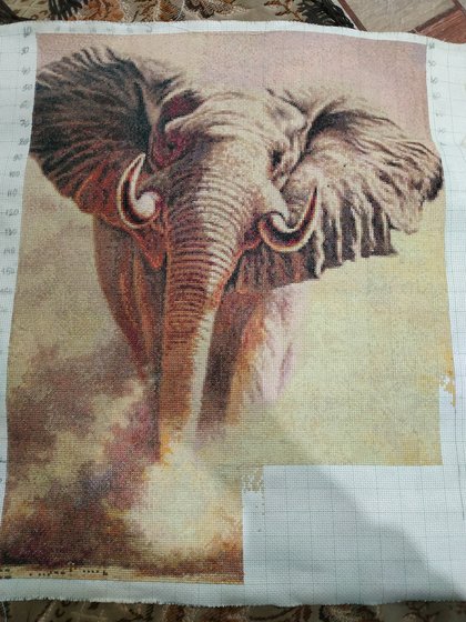 Этап процесса «Африканский слон»