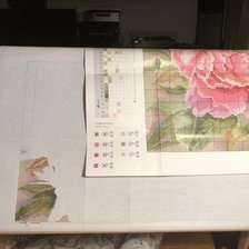 Процесс «Пионы от Алисы»