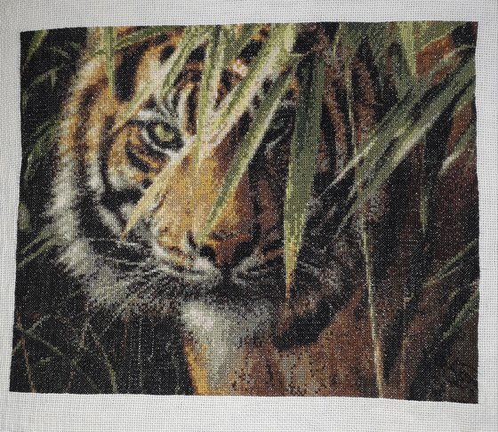 Этап процесса «Ожидающий тигр.»