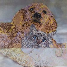 Процесс «Друзья»