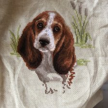 Процесс «Малыш бассет от Риолис»