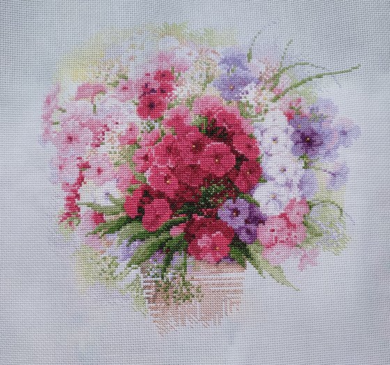 Этап процесса «Риолис 1069 "Акварельные флоксы"»