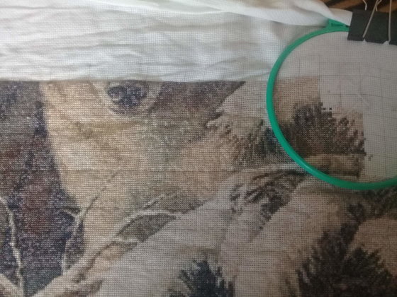 Этап процесса «волки»