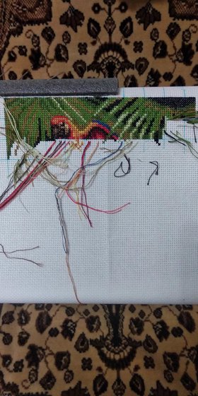 Этап процесса «Попугаи»