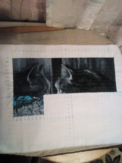 Этап процесса «Кот в окне»