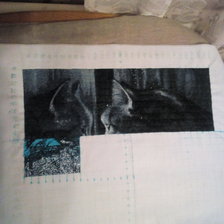 Процесс «Кот в окне»