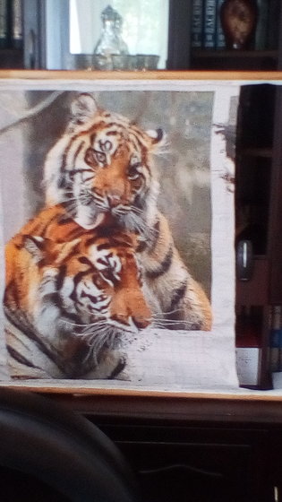 Этап процесса «Тигриная нежность»