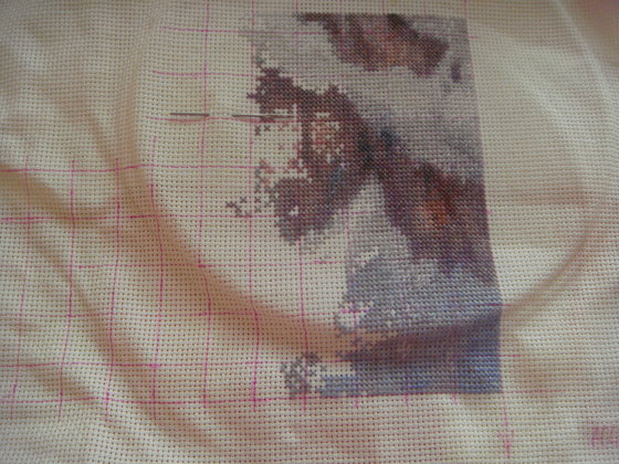 Этап процесса «Снежные барсы»