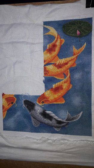 Этап процесса «9 карпов»