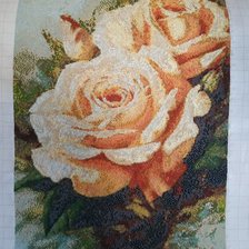 Процесс «Розы»