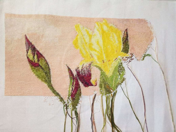 Этап процесса «"Ирисы"»