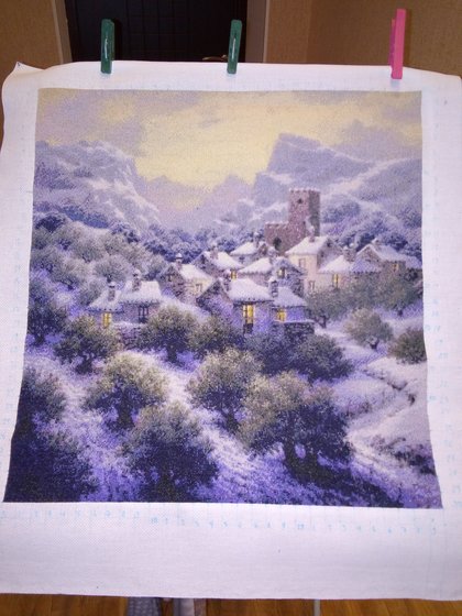 Этап процесса «зимний сад -химера»