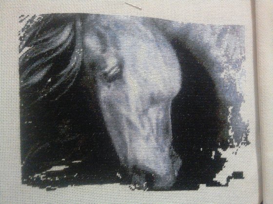 Этап процесса «Wild rose»