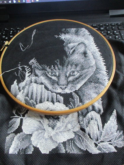 Этап процесса «Котёнок»