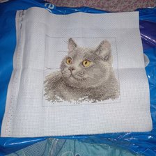 Процесс «Британский кот»