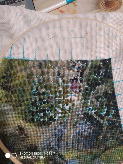 Этап процесса «Волчья семья»