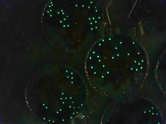 Этап процесса «Новогодние игрушки от Джанлинн.»