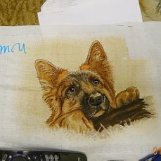 Этап процесса «лохматый ушастик»