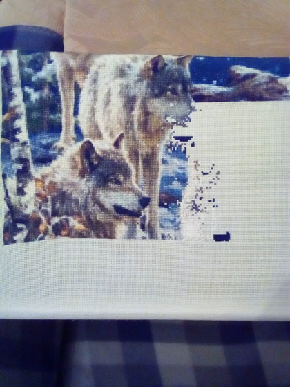 Этап процесса «Стая волков»