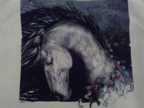 Этап процесса «Wild rose»