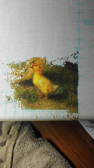 Этап процесса «птичий двор»