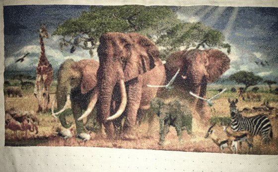 Этап процесса «Африка»