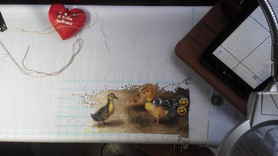 Этап процесса «птичий двор»