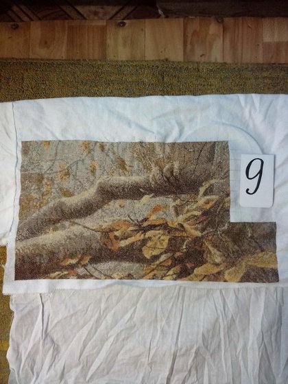 Этап процесса «совушка»