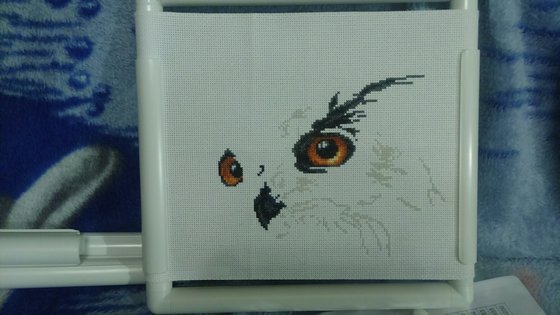 Этап процесса «Сова»