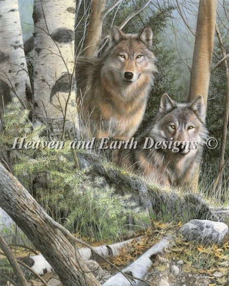 Этап процесса «Watchful eyes»