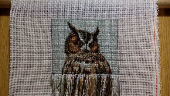 Этап процесса «Bagoly»