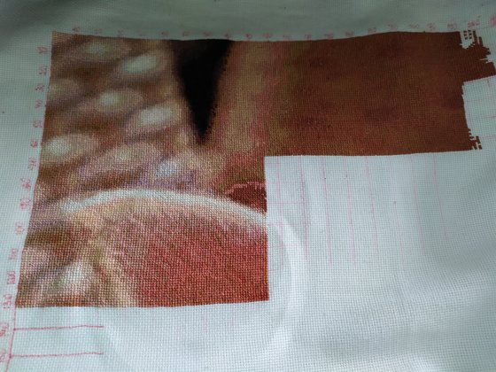 Этап процесса «Чихуашечка»