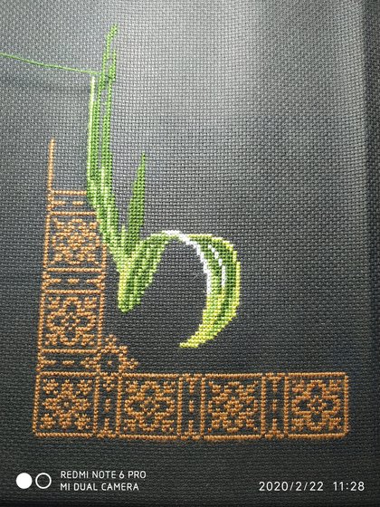 Этап процесса «Риолис "Ирисы"(841)»