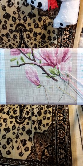 Этап процесса «Магнолия Суланжа»