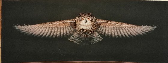 Этап процесса «Сова»