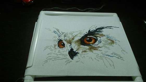 Этап процесса «Сова»